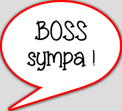 boss sympa - 15x13.5cm - sticker/autocollant