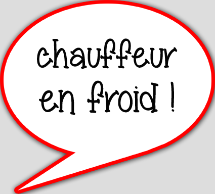 chauffeur en froid - 10x9cm - sticker/autocollant