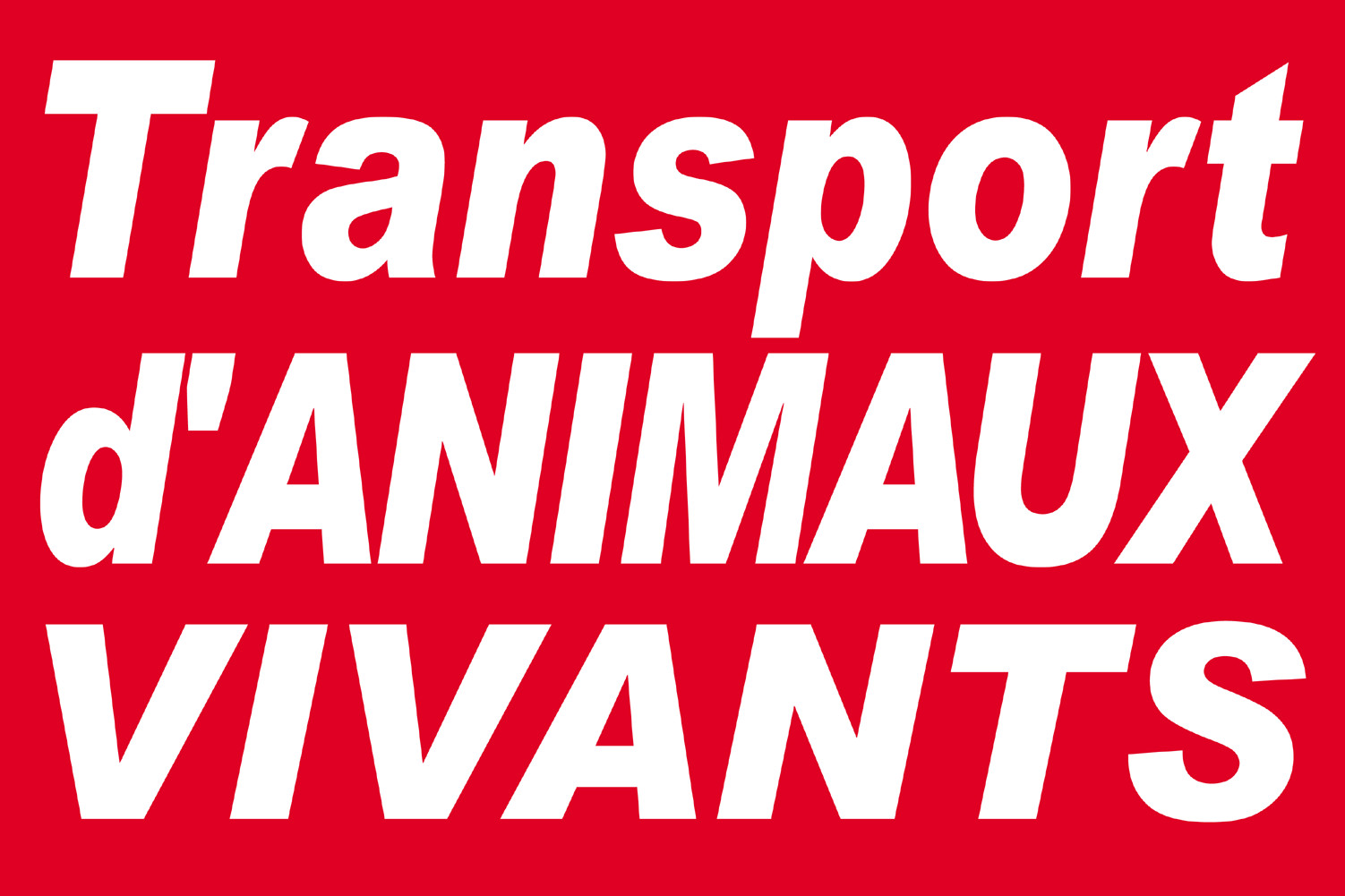 Transport d'animaux vivants - 30x20cm - Sticker/autocollant