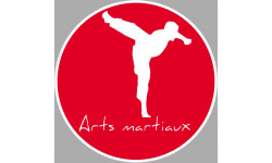 Arts martiaux karaté - 10cm - Sticker/autocollant