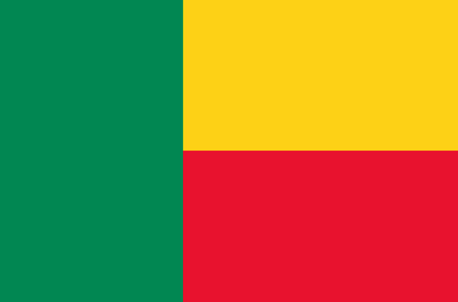 Drapeau Bénin - 19.5x13cm - Sticker/autocollant