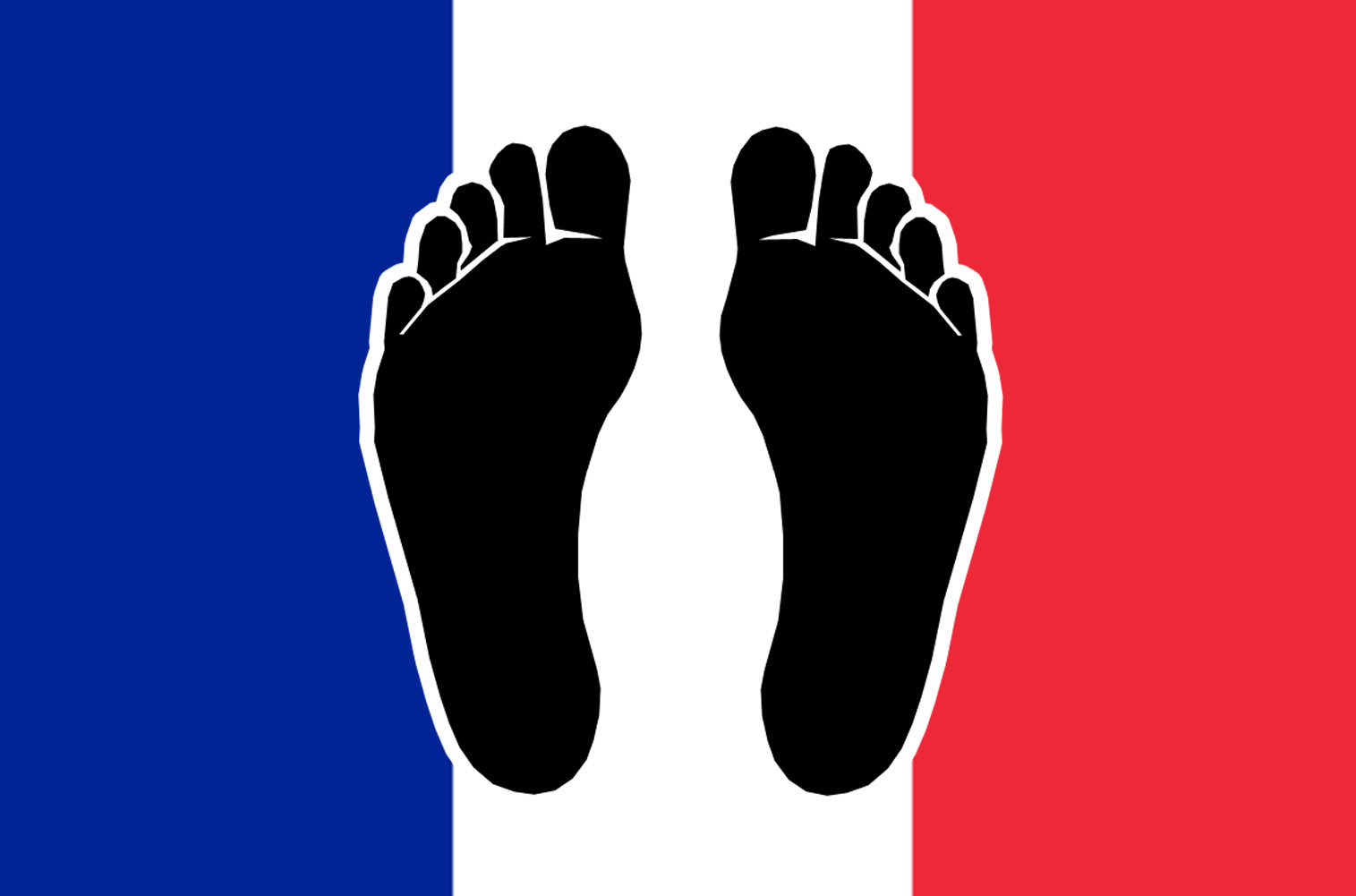 Pieds noirs drapeau Français - 5x3.3cm - Sticker/autocollant