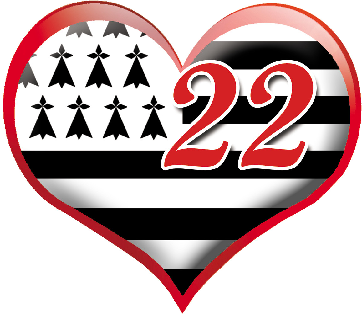 coeur breton 22 - 20x23cm - Sticker/autocollant