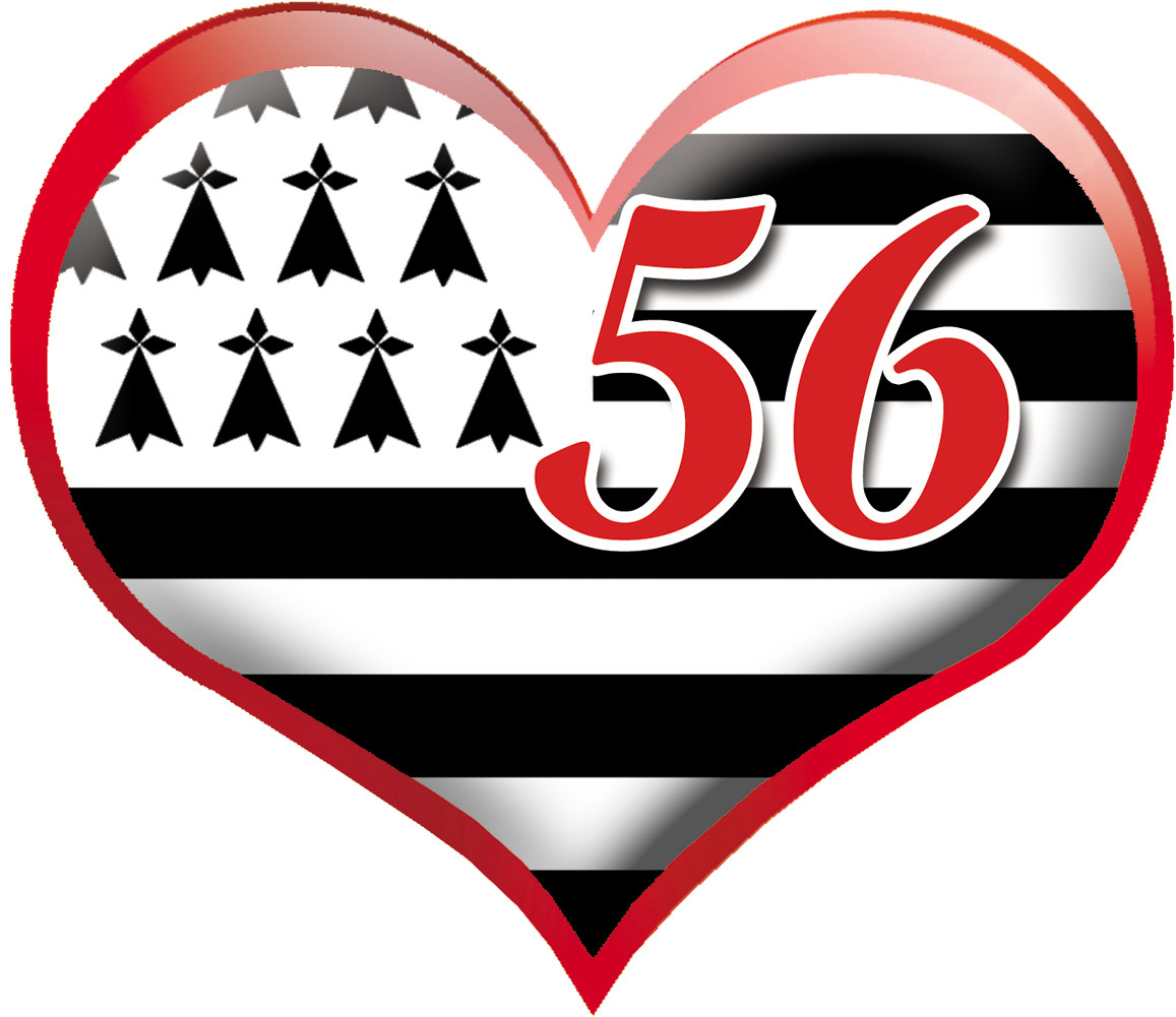 coeur breton 56 - 20x23cm - Sticker/autocollant