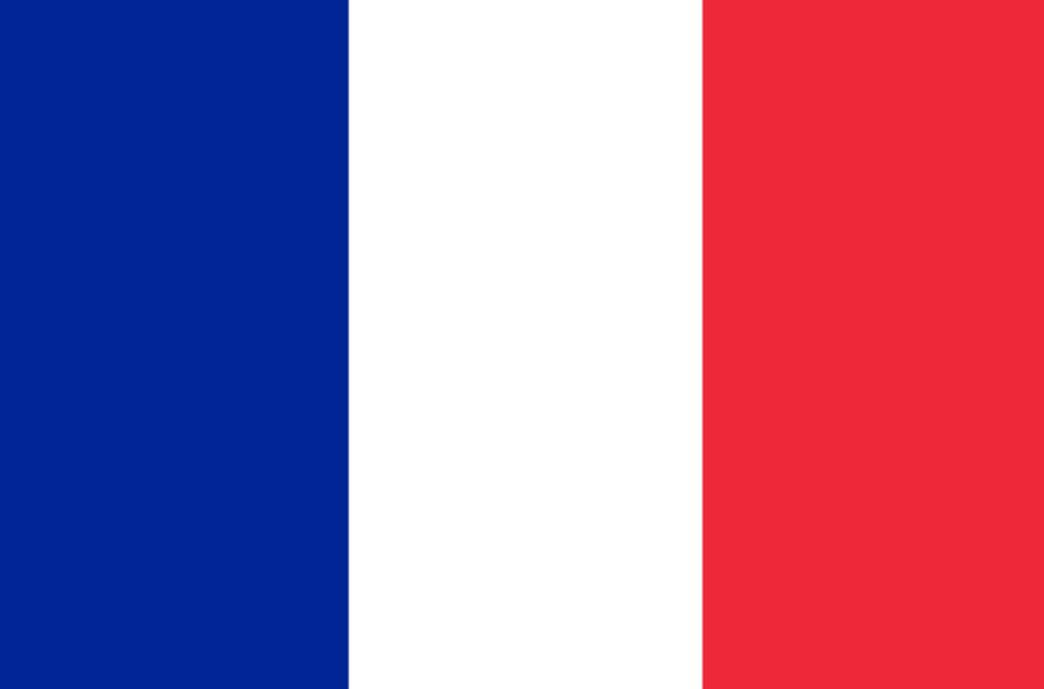 Drapeau France - 19.5x13cm - Sticker/autocollant