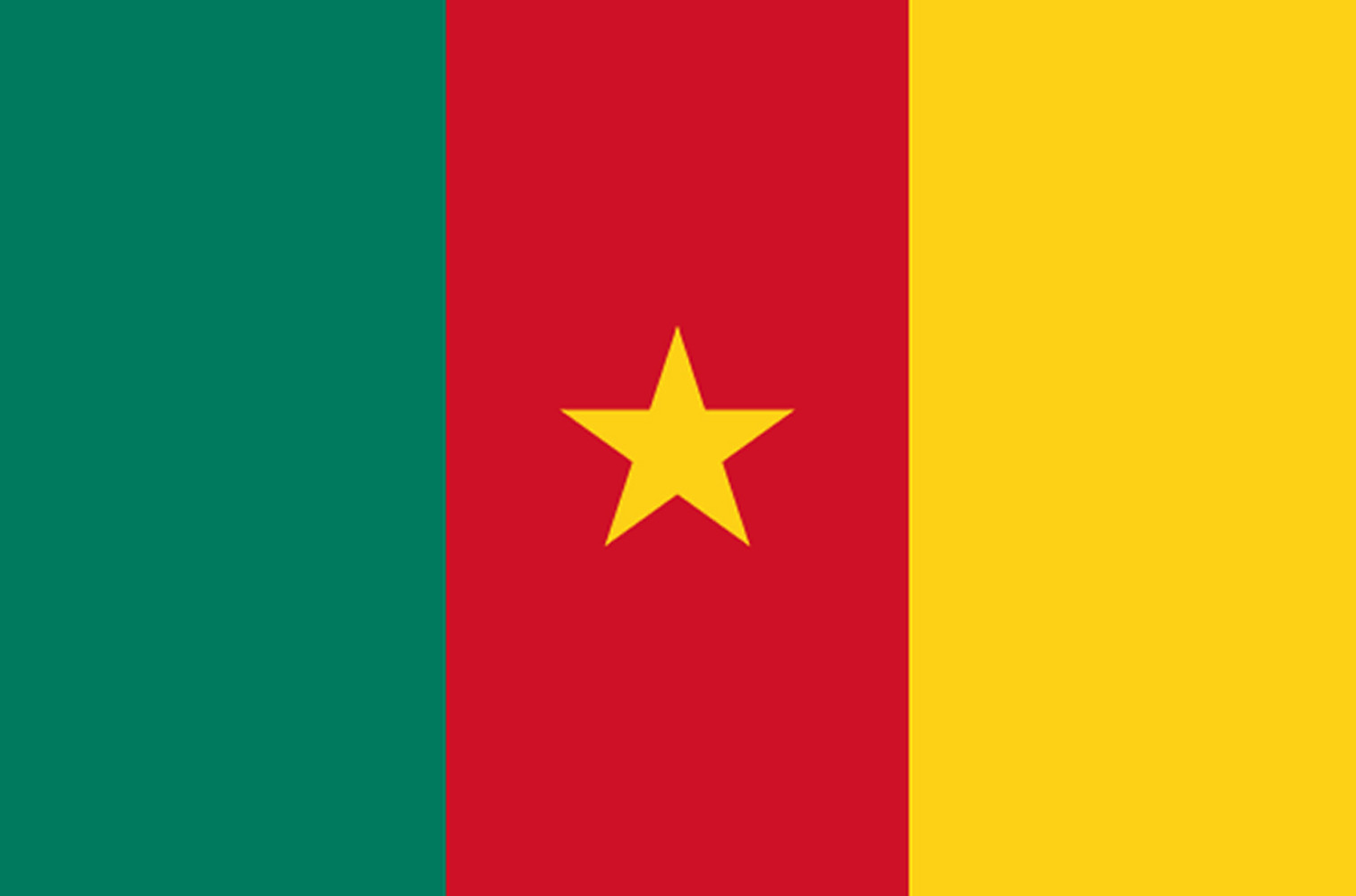 Drapeau Cameroun - 19.5 x 13 cm - Sticker/autocollant