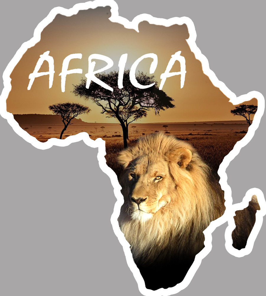 Africa Lion - 20x18cm - Sticker/autocollant