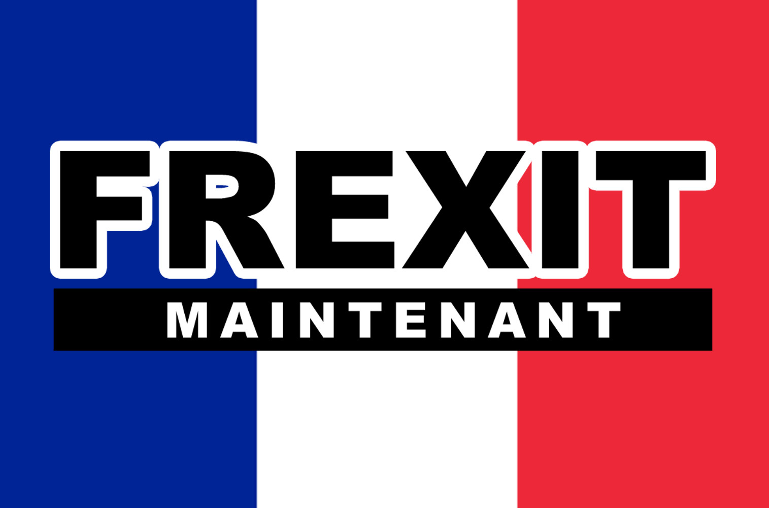 FREXIT - 29x19cm - Sticker/autocollant