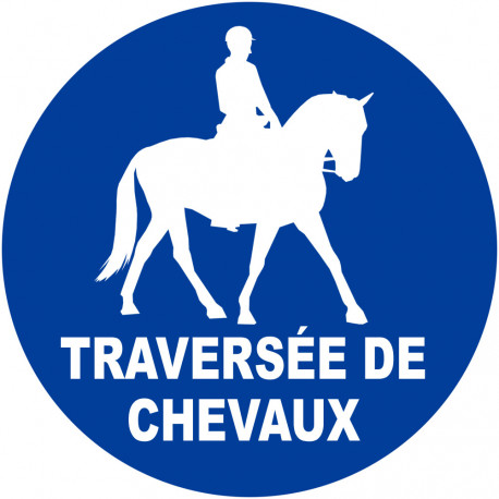 Traversée de chevaux - 20cm - Sticker/autocollant