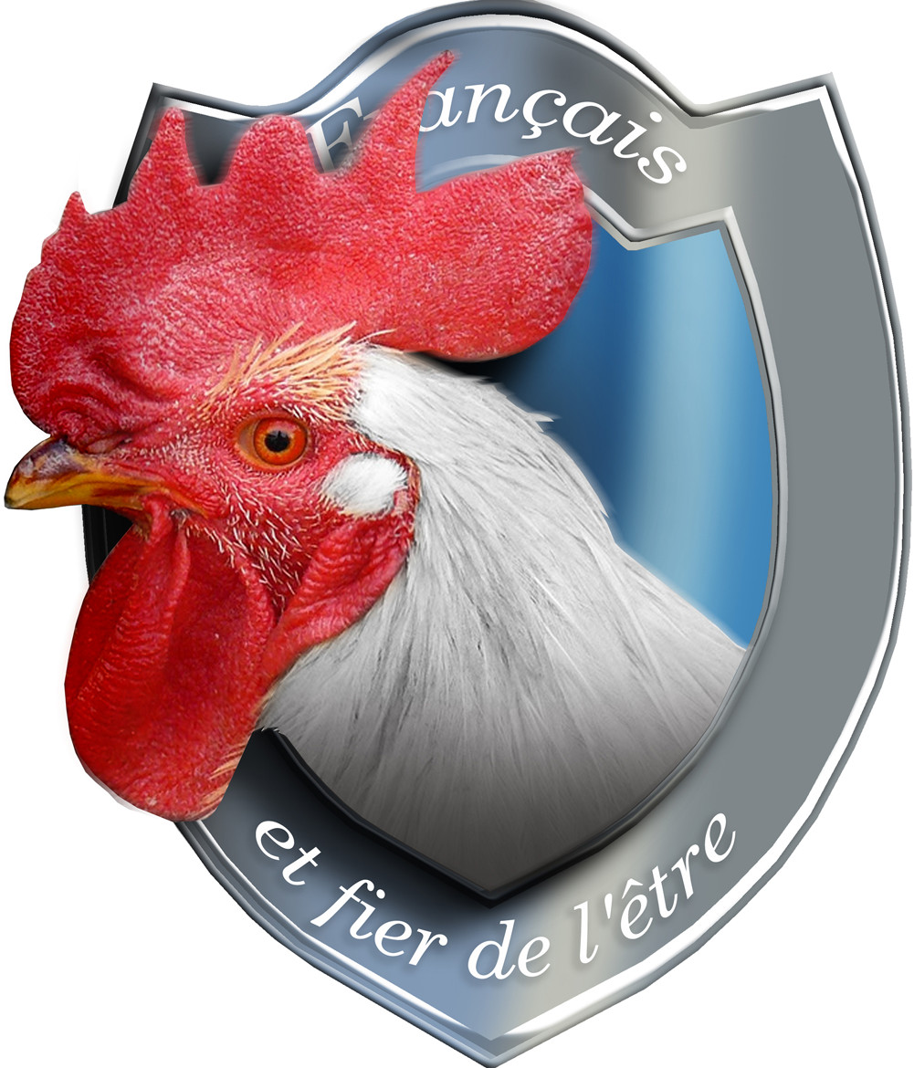  Coq français - 15x12,5cm - Sticker/autocollant