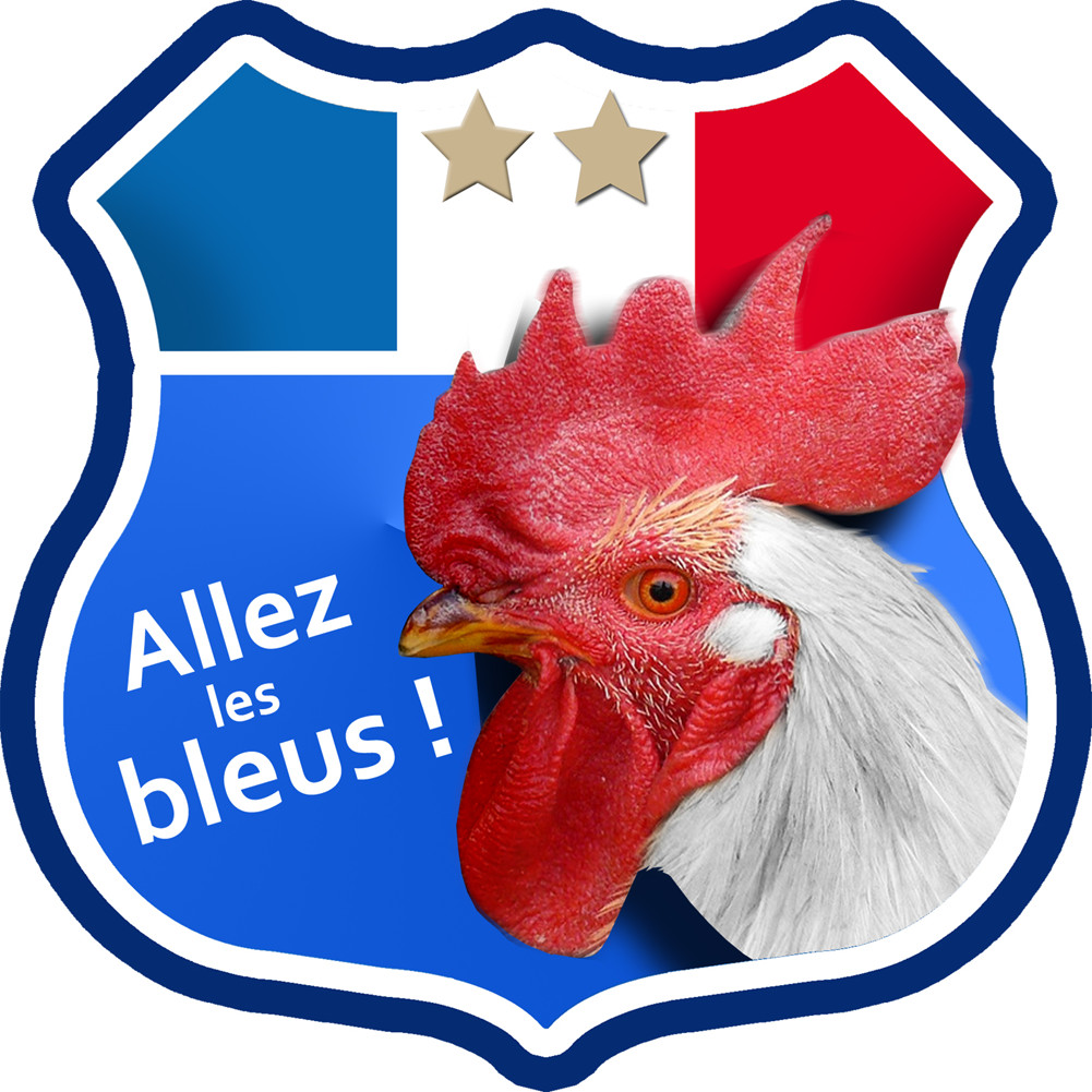 Allez les bleus deux étoiles ! - 10x10cm - Sticker/autocollant