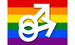 DRAPEAU LGBT gay  - 20x15cm - Sticker/autocollant