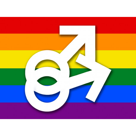 DRAPEAU LGBT gay  - 29x21.5cm - Sticker/autocollant