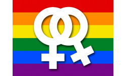 DRAPEAU LGBT lesbien - 20x15cm - Sticker/autocollant