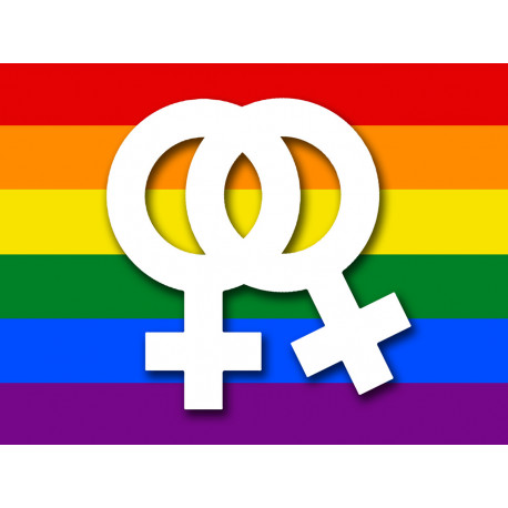 DRAPEAU LGBT lesbien - 10x7.5cm - Sticker/autocollant