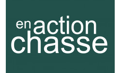 en action de chasse vert - 10x6.5cm - Sticker/autocollant