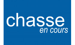 chasse en cours - 29x19.3cm - Sticker/autocollant