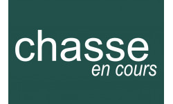 chasse en cours vert - 10x6.5cm - Sticker/autocollant