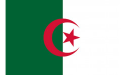 Drapeau Algérie (19.5x13cm) - Sticker/autocollant