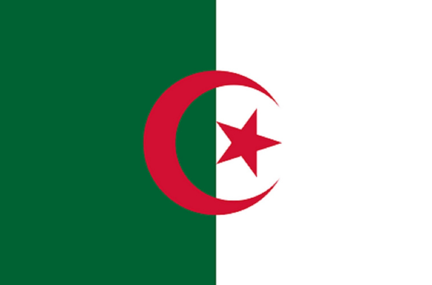 Drapeau Algérie (19.5x13cm) - Sticker/autocollant