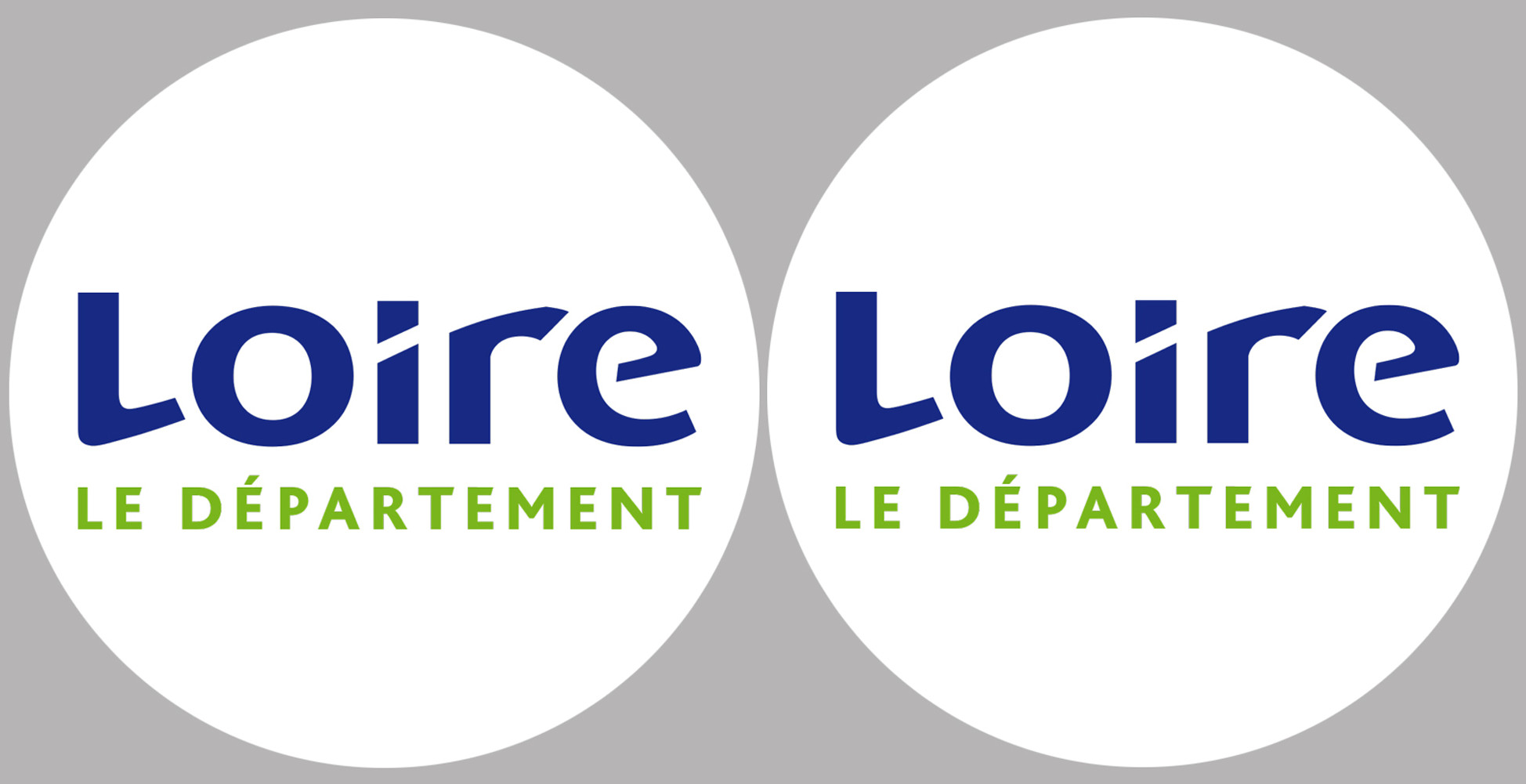 Département 42 la Loire (2 fois 10cm) - Sticker/autocollant