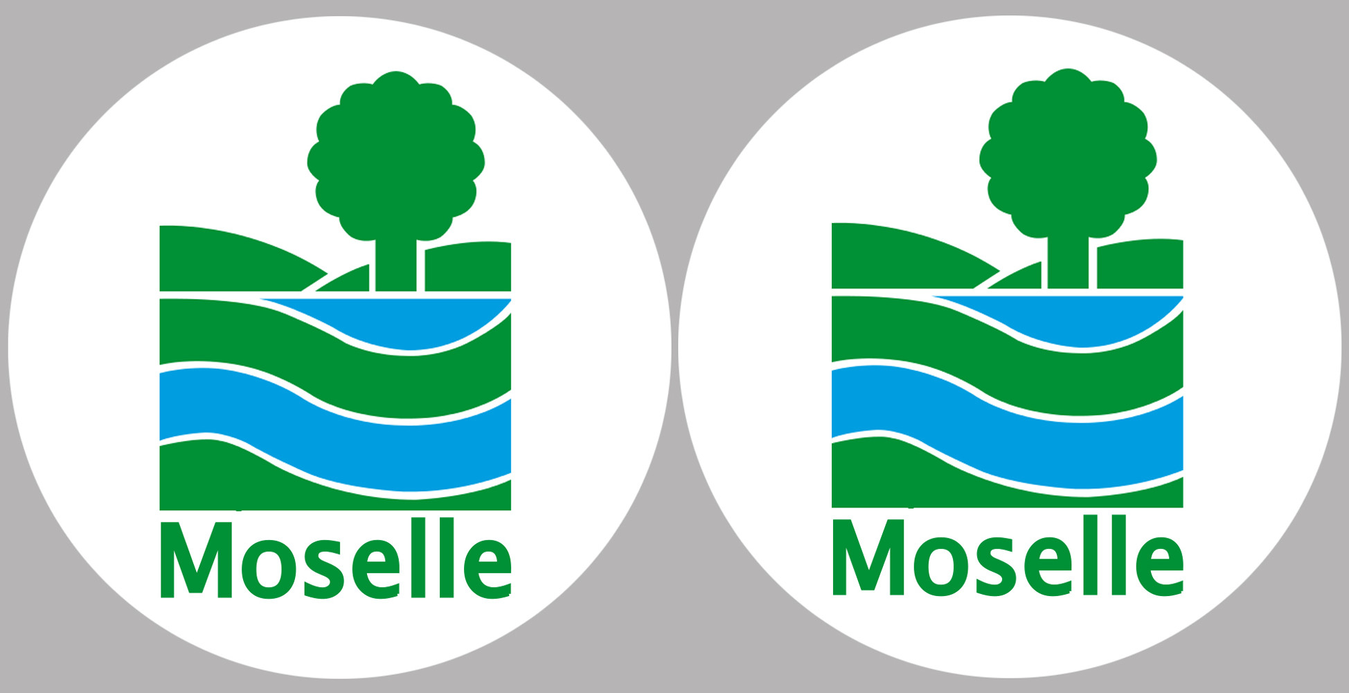 Département 57 la Moselle (2 fois 10cm) - Sticker/autocollant