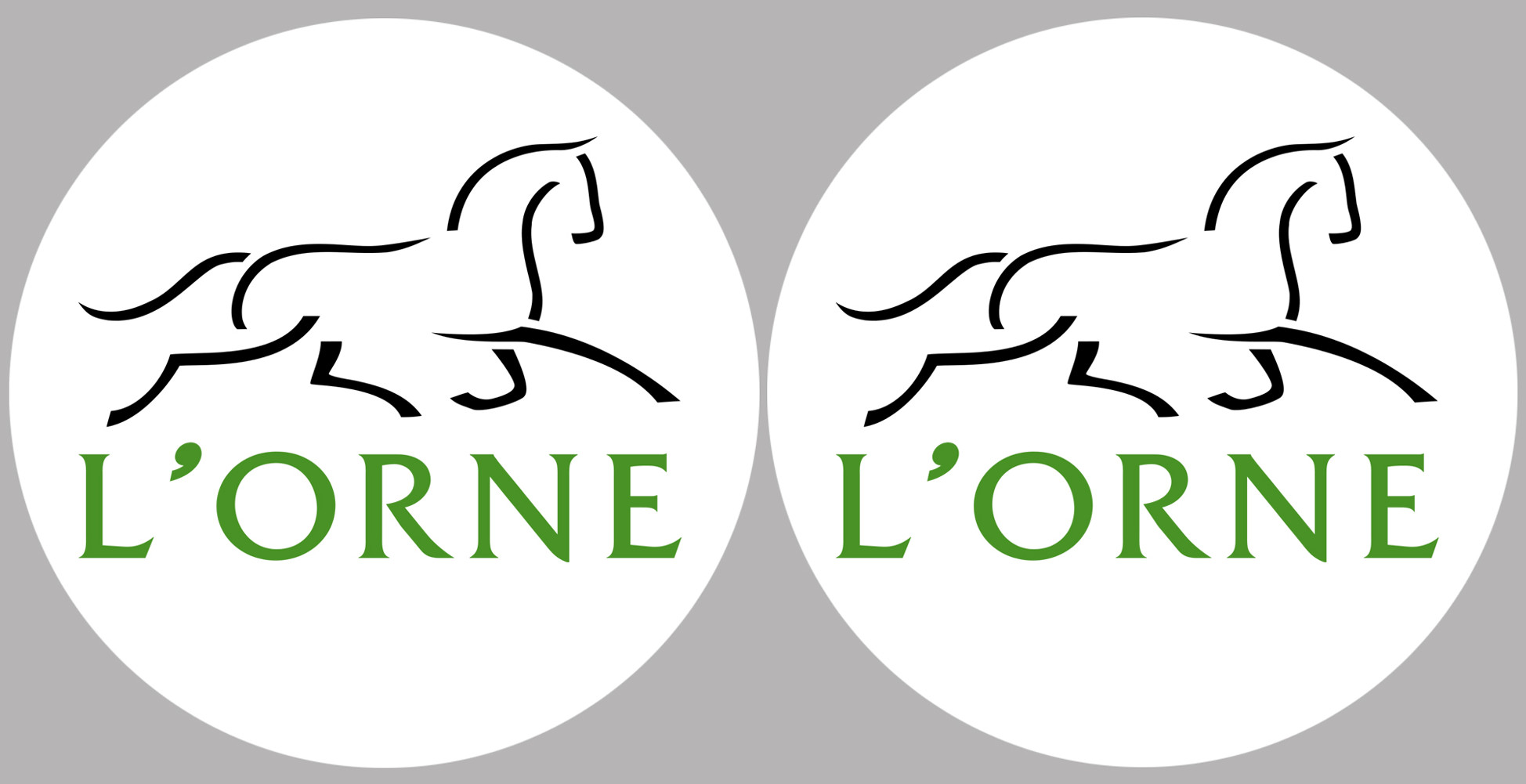 Département 61 l'Orne (2 fois 10cm) - Sticker/autocollant