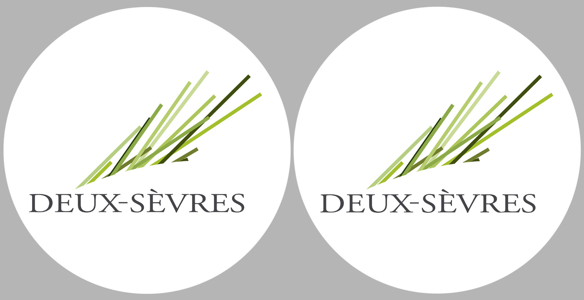 Département 79 les Deux-Sèvres (2 fois 10cm) - Sticker/autocollant