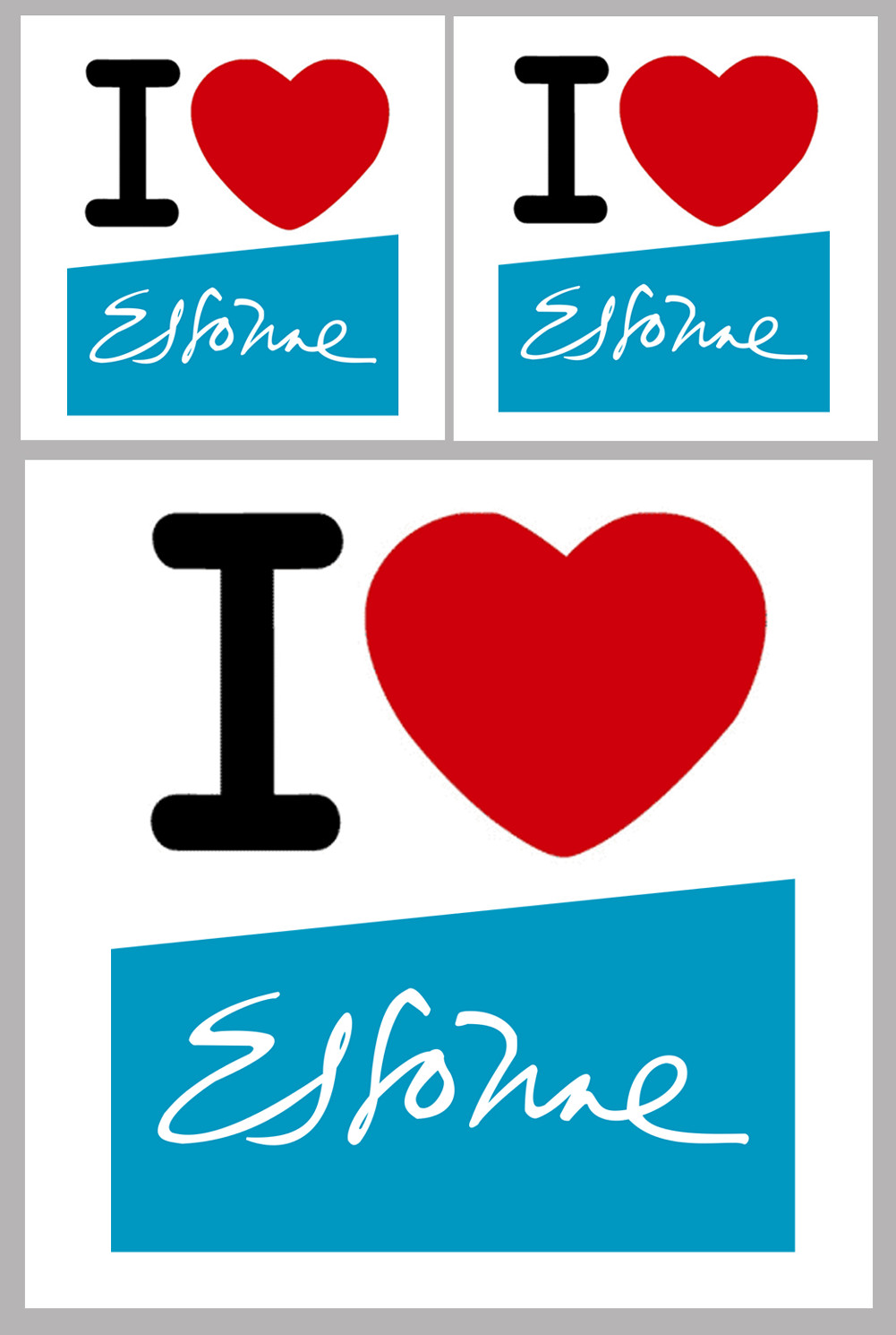 Département 91 l'Essonne (1fois 10cm 2fois 5cm) - Sticker/autocollant