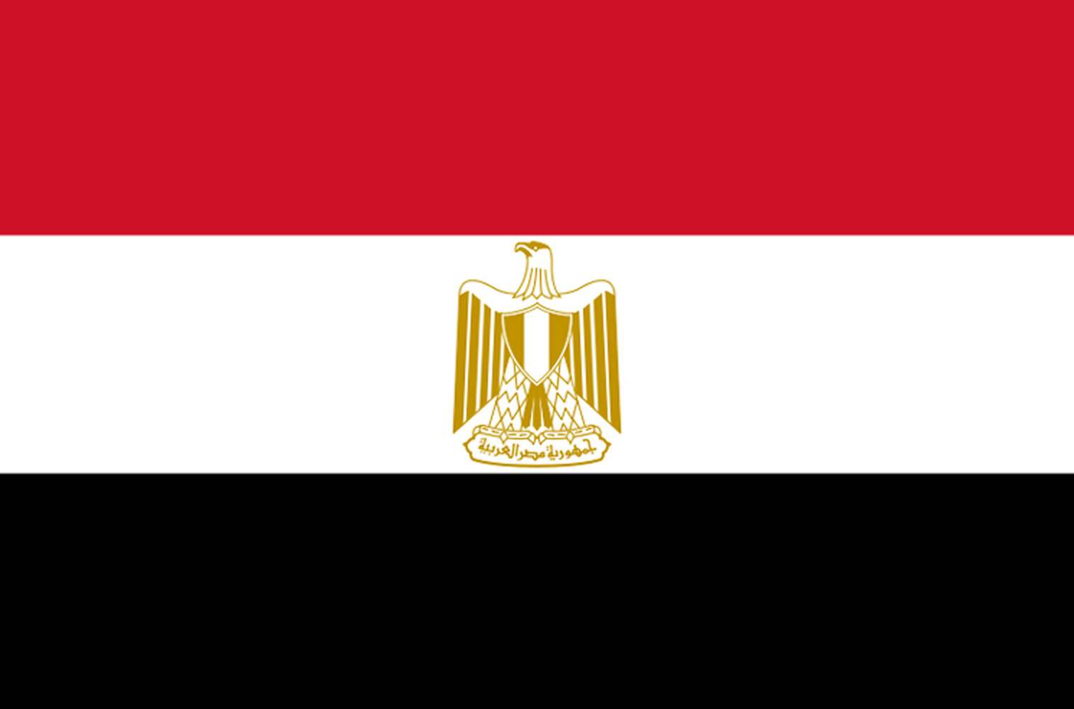 Drapeau Egypte (19.5x13cm) - Sticker/autocollant