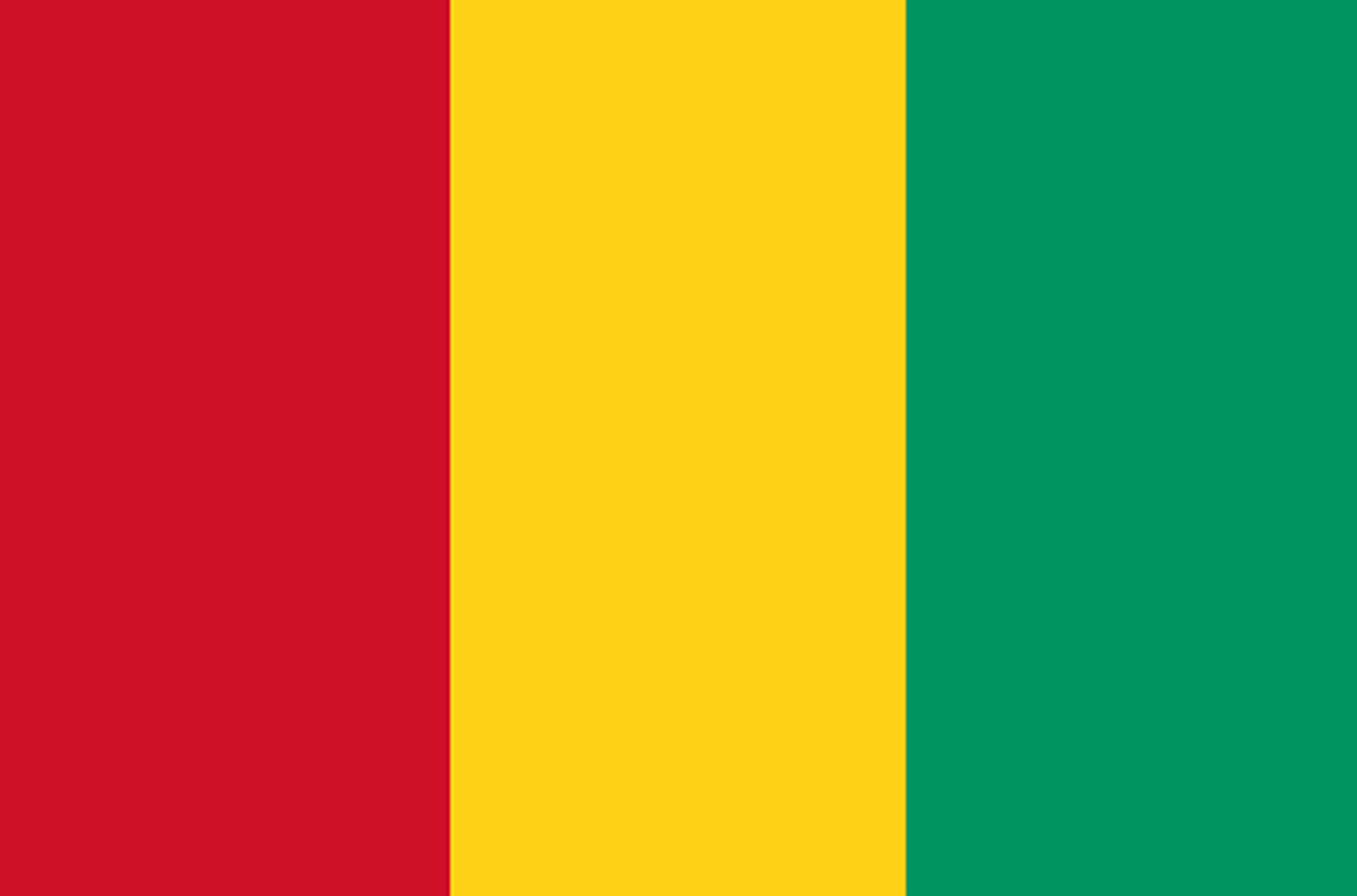 Drapeau Guinée (19.5x13cm) - Sticker/autocollant