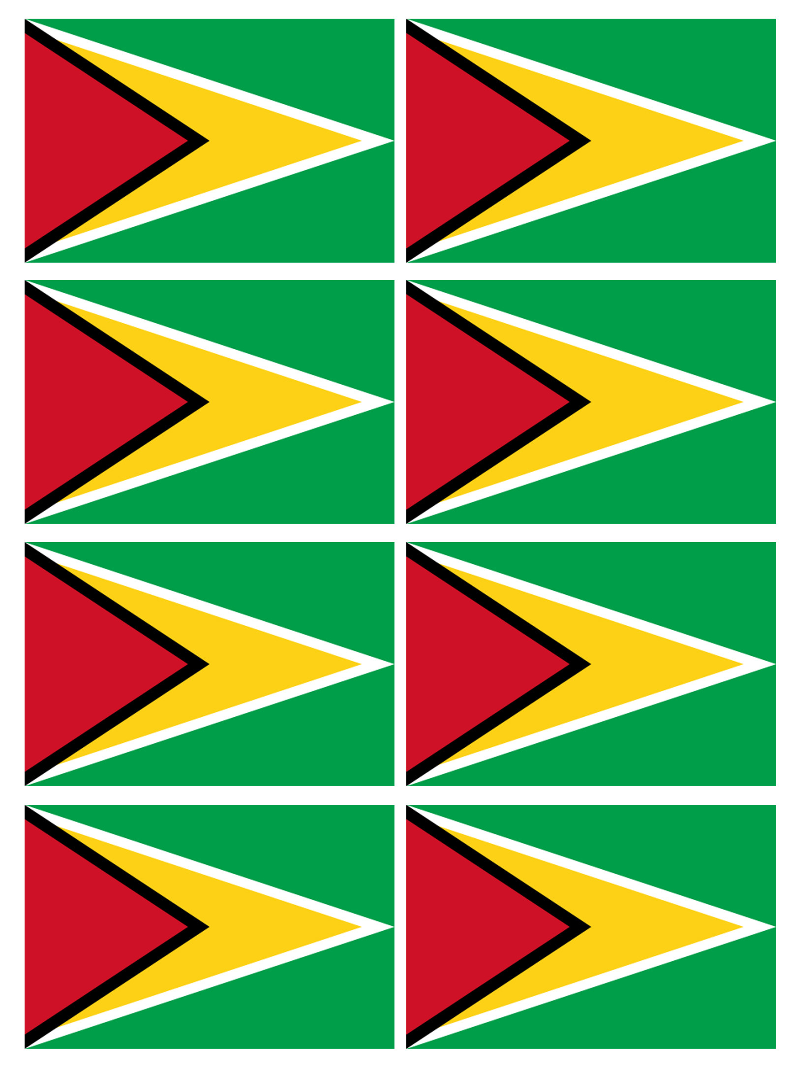 Drapeau Guyana - (8 stickers 9.5x6.3cm) - Sticker/autocollant