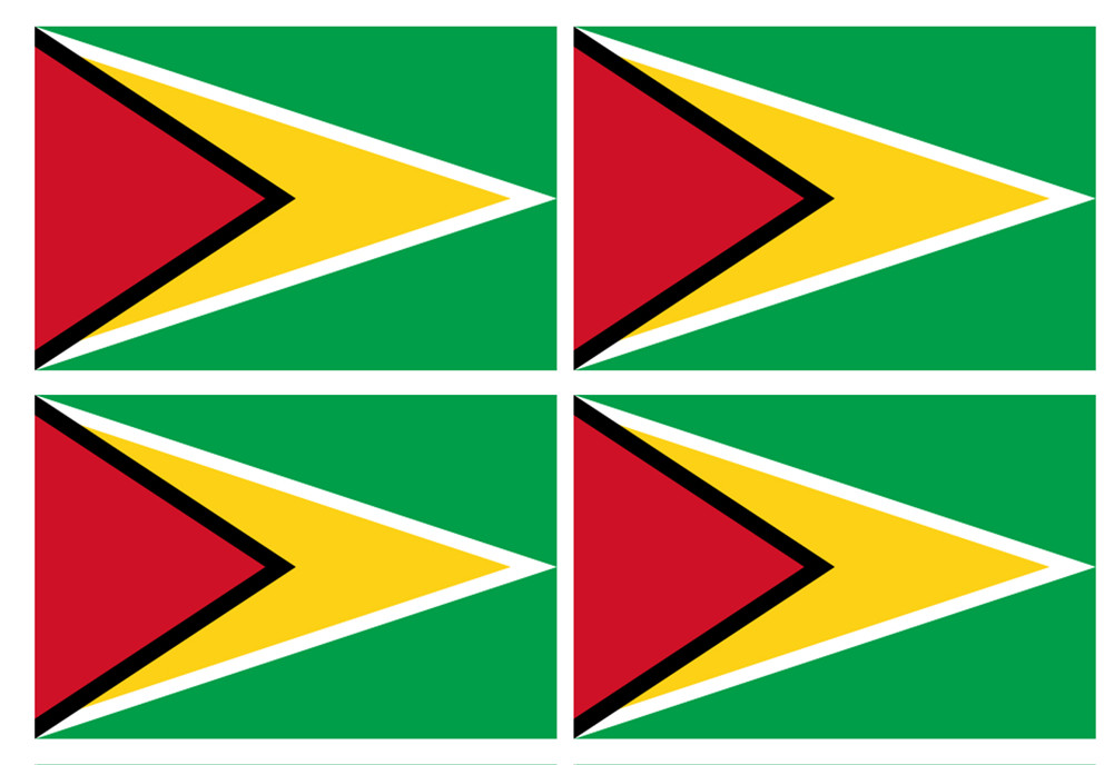 Drapeau Guyana - (4 stickers 9.5x6.3cm) - Sticker/autocollant