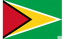 Drapeau Guyana - (19.5x13cm) - Sticker/autocollant