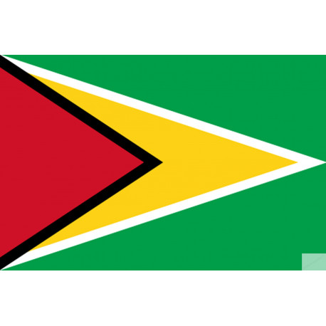 Drapeau Guyana - (19.5x13cm) - Sticker/autocollant