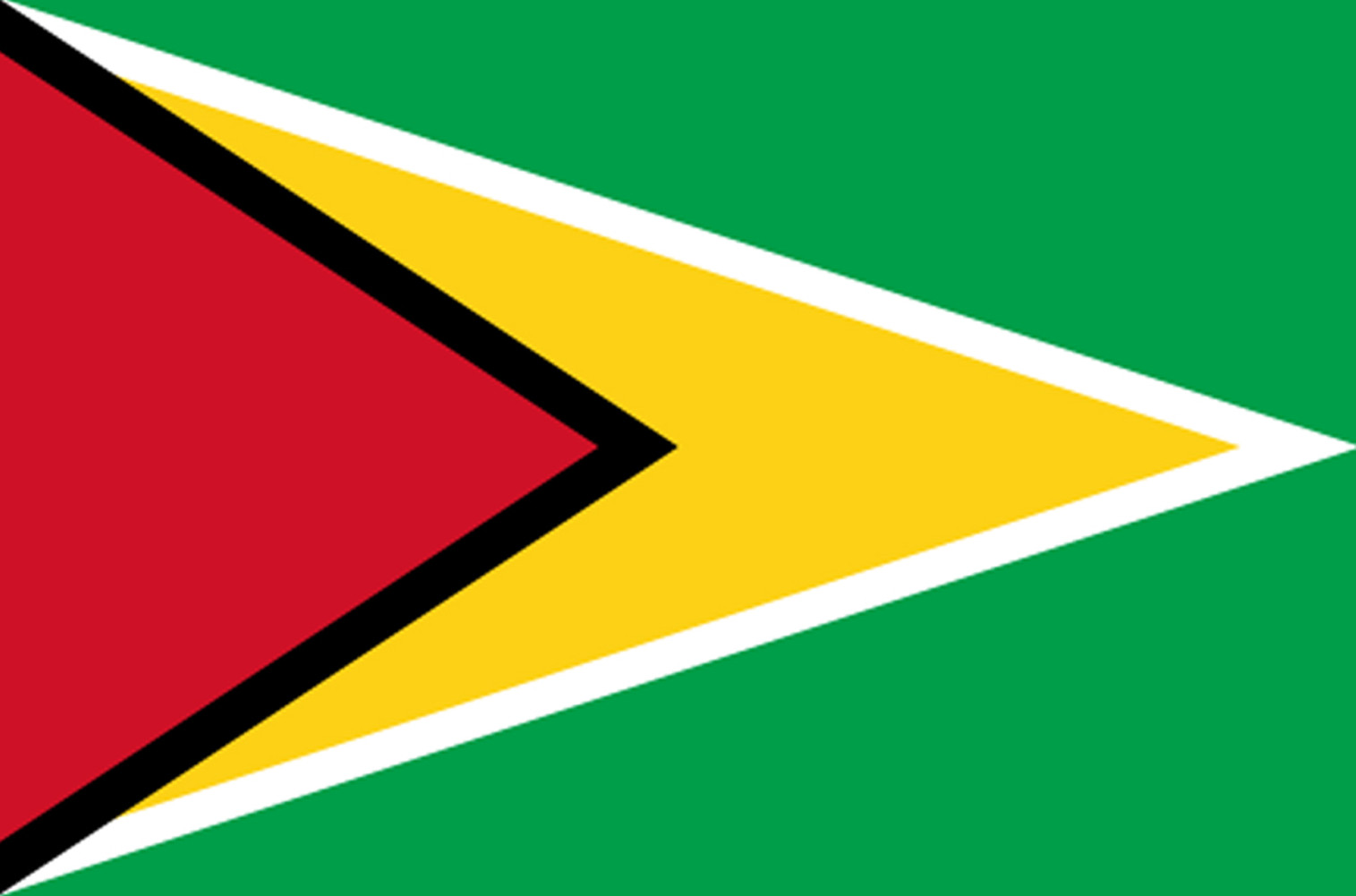 Drapeau Guyana - (19.5x13cm) - Sticker/autocollant