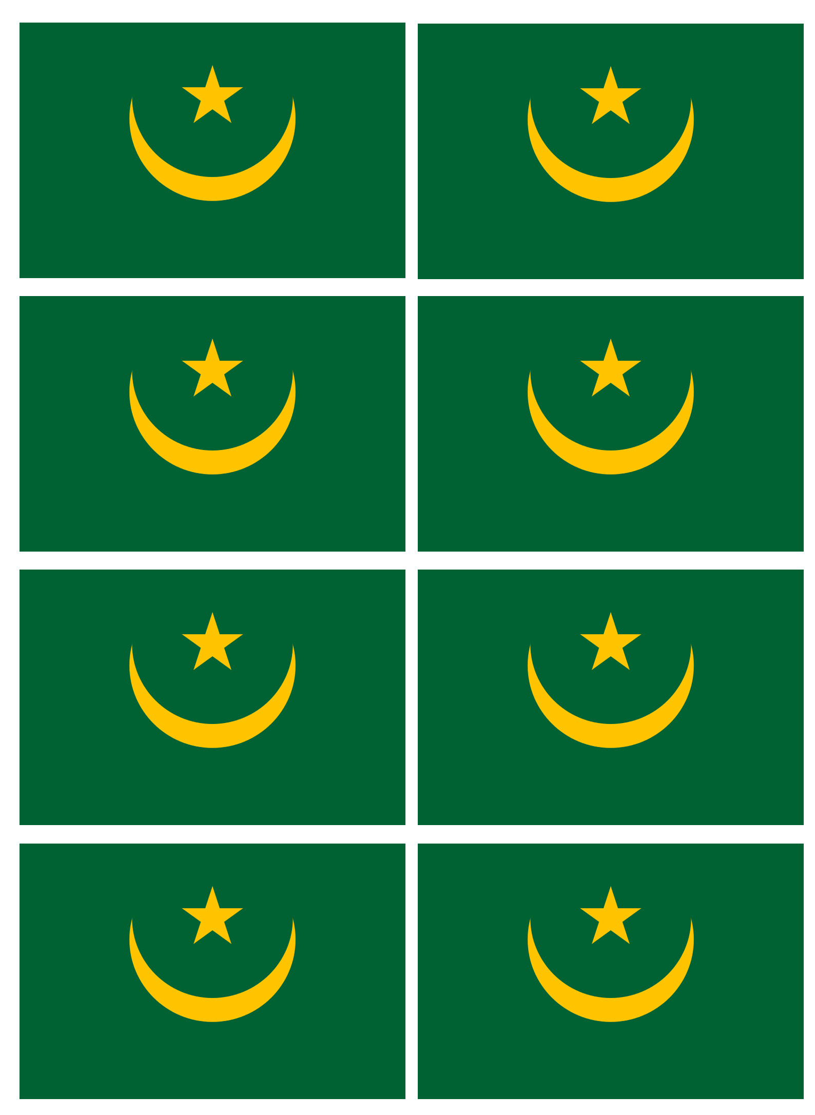 Drapeau Mauritanie (8 fois 9.5x6.3cm) - Sticker/autocollant