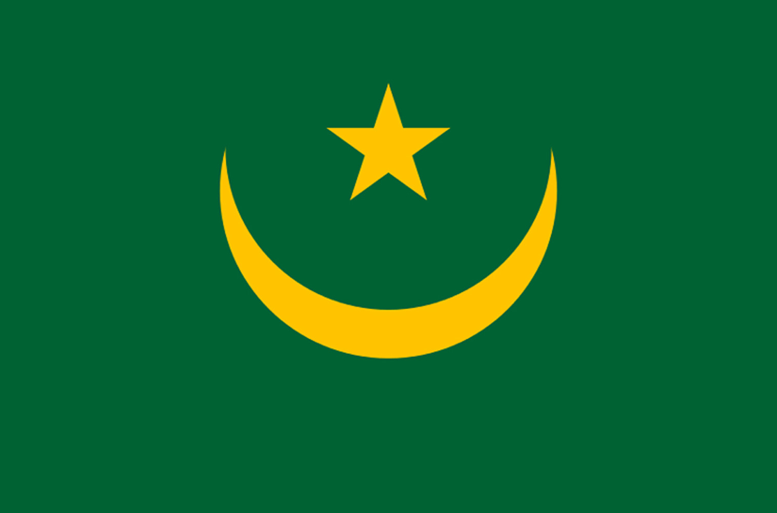 Drapeau Mauritanie (19.5x13cm) - Sticker/autocollant