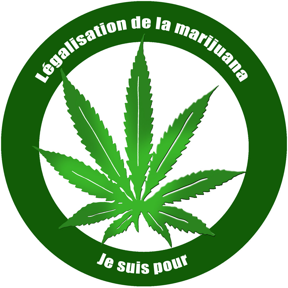 Pour la légalisation de la marijuana (15x15cm) - Sticker/autocollant