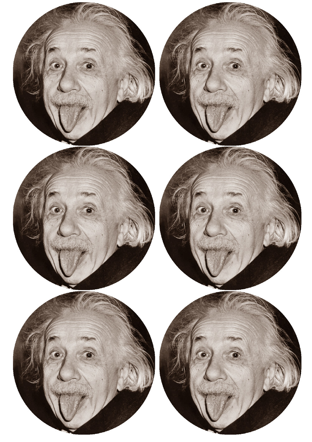 Albert Einstein (6 fois 9cm) - Sticker/autocollant