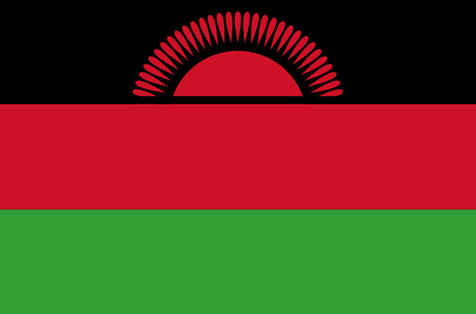 Drapeau Malawi (19.5x13cm) - Sticker/autocollant