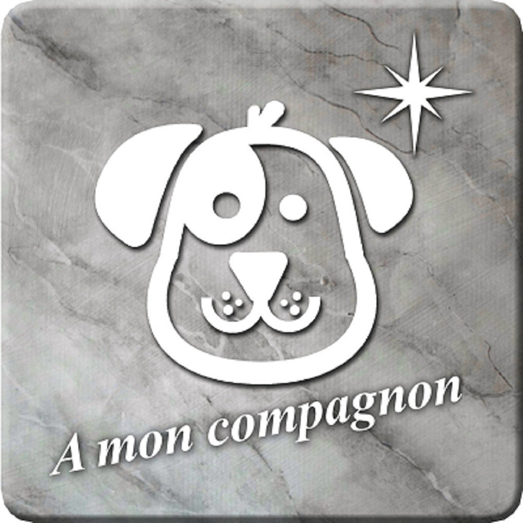 à mon compagnon chien marbre gris (20x20cm) - Sticker/autocollant