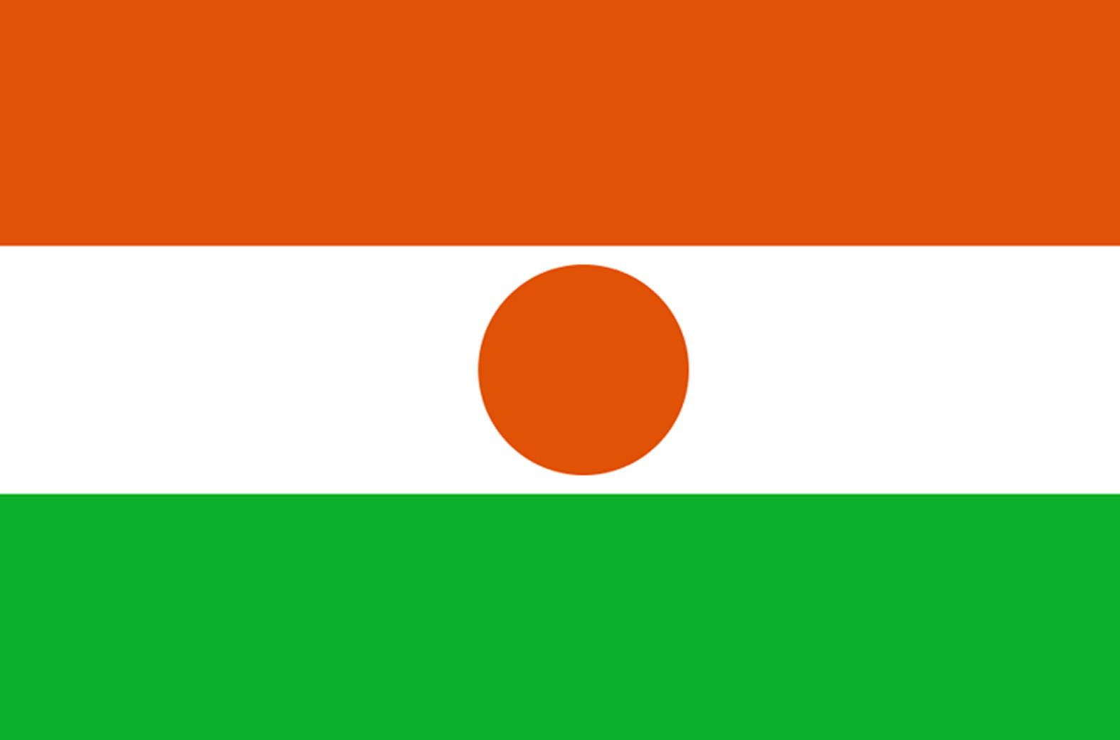 Drapeau Niger (19.5x13cm) - Sticker/autocollant