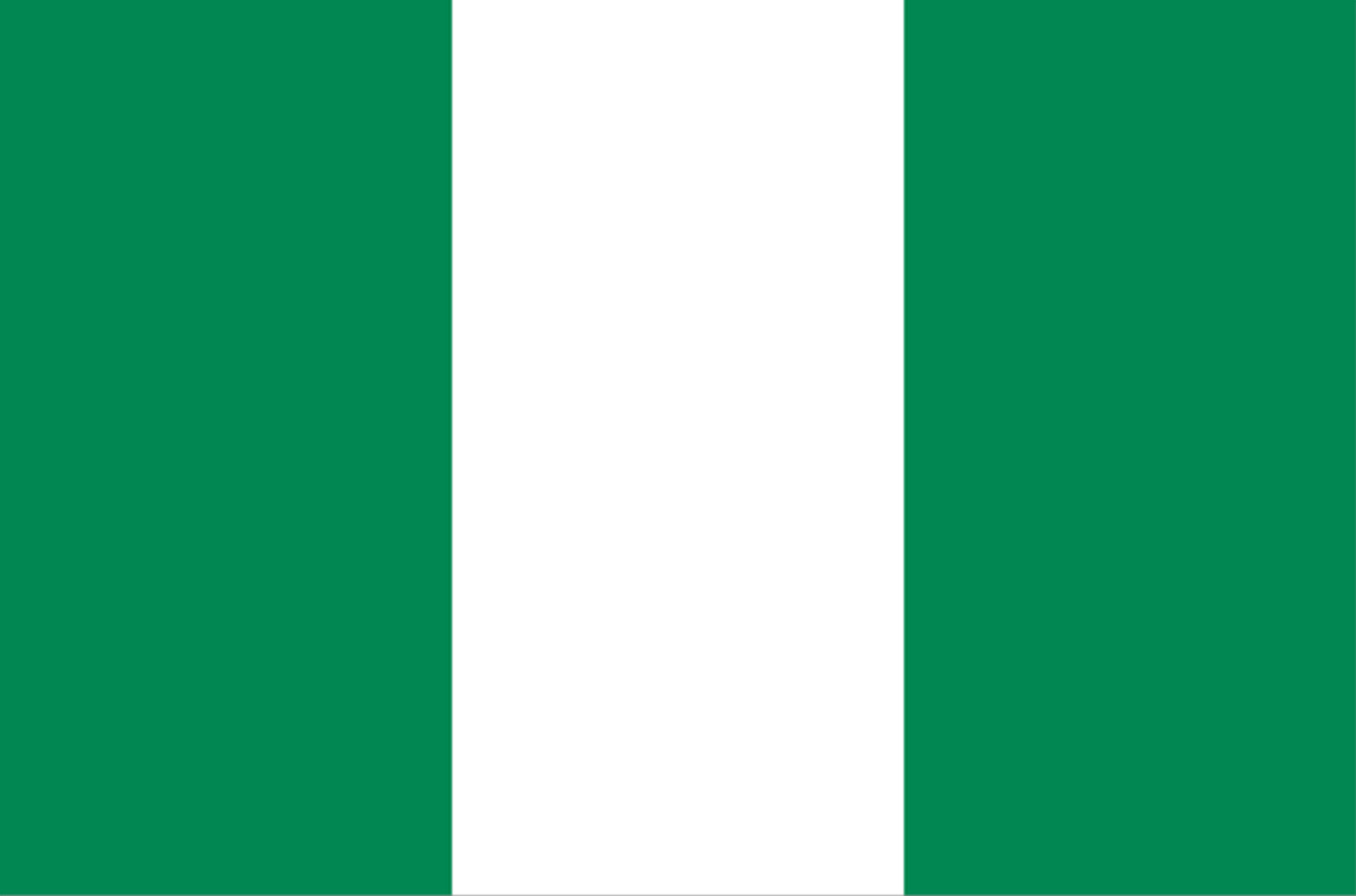 Drapeau Nigeria (19.5x13cm) - Sticker/autocollant