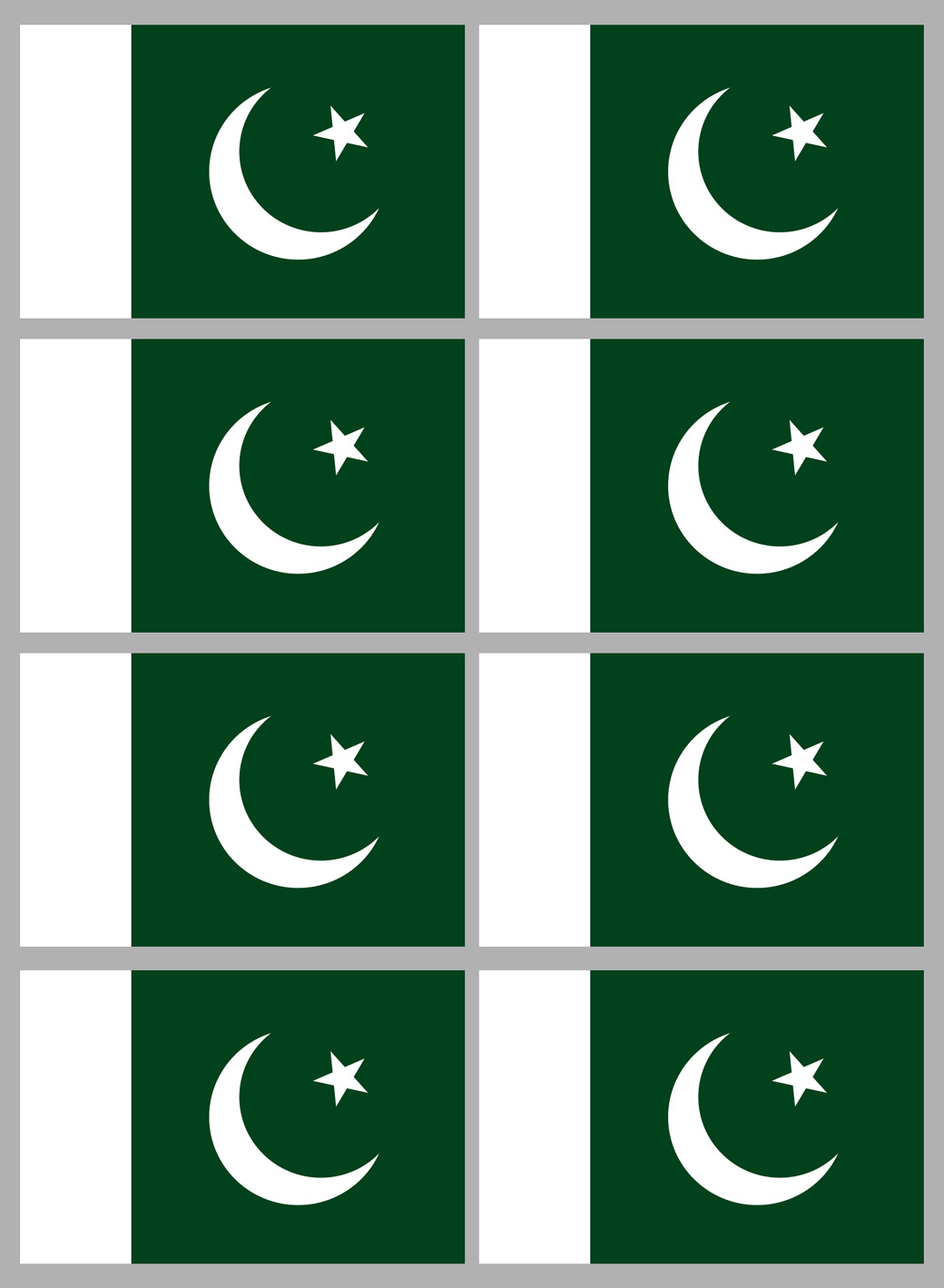 Drapeau Pakistan (8 fois 9.5x6.3cm) - Sticker/autocollant