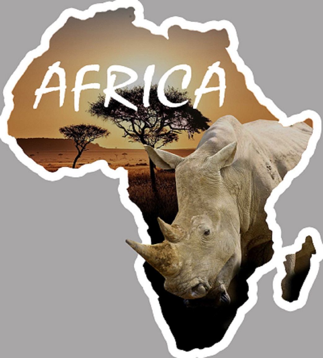 Africa Rhinocéros - 15x13,5cm - Sticker/autocollant