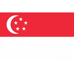 Drapeau Singapour (19.5 x 13 cm) - Sticker/autocollant