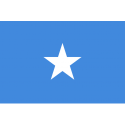 Drapeau Somalie (19.5 x 13 cm) - Sticker/autocollant