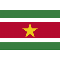 Drapeau Suriname (19.5 x 13 cm) - Sticker/autocollant