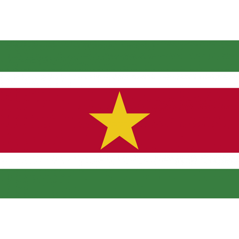 Drapeau Suriname (19.5 x 13 cm) - Sticker/autocollant